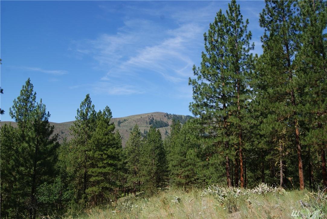0 Larkspur Dr - Photo 1