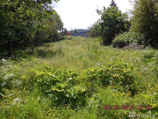 0 Elderberry Lane - Photo 1