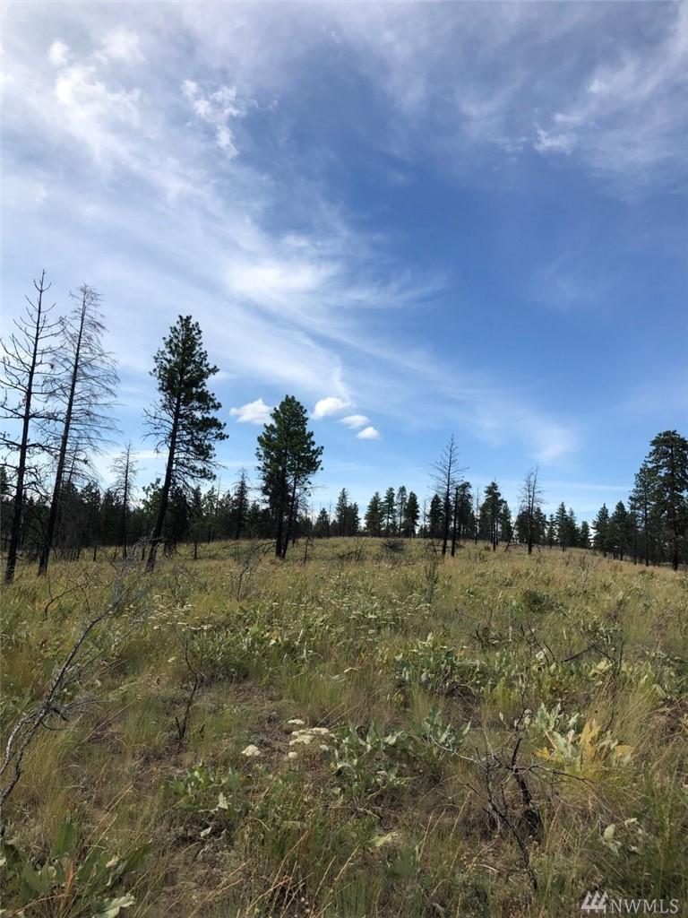 0 Washington Creek - Photo 1