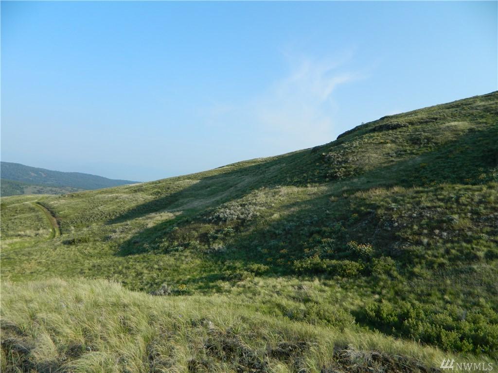 1111 Tbd Janet Marie Rd - Photo 1