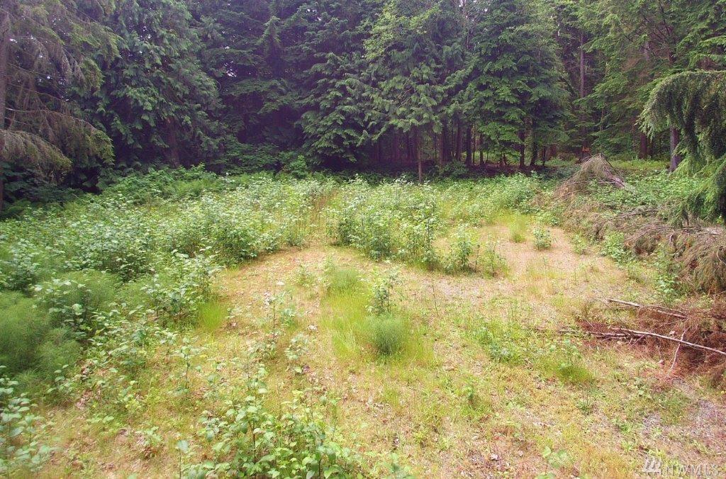 17800 Jordan Road - Photo 1