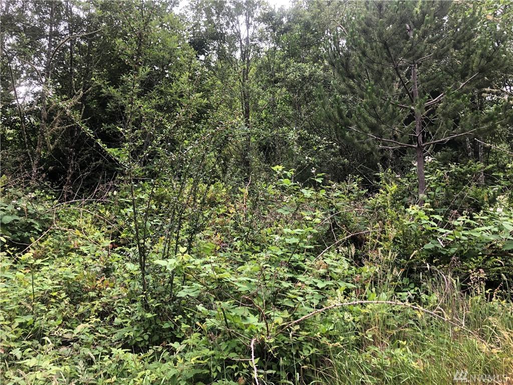 0-Lot 7,8 Y Place - Photo 1
