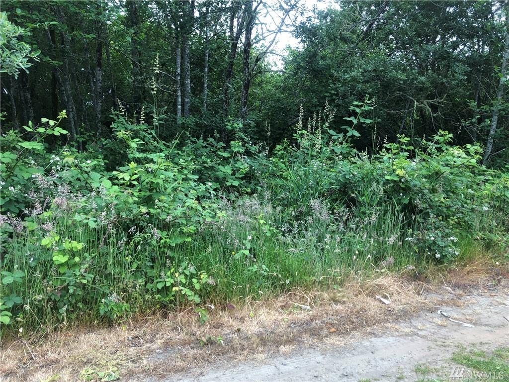 0-Lot 9,10 Y Place - Photo 1