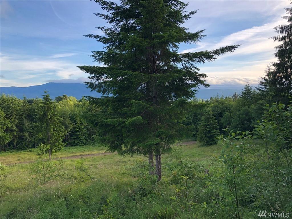 0 Lot 3 Skyline Rd - Photo 1