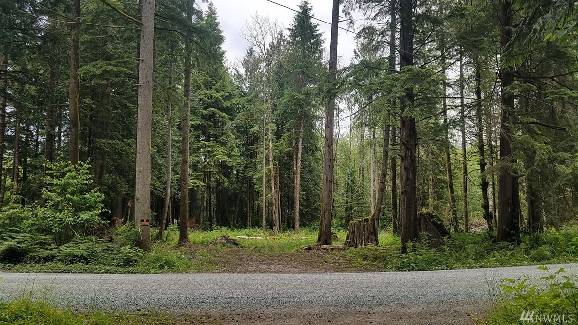 0-NHN Silver Creek Dr - Photo 1