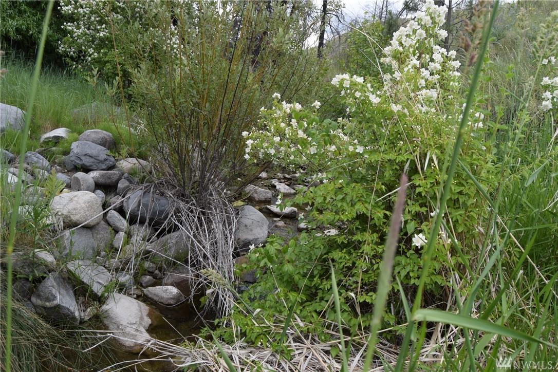 0-TBD1 Corral Dr - Photo 1