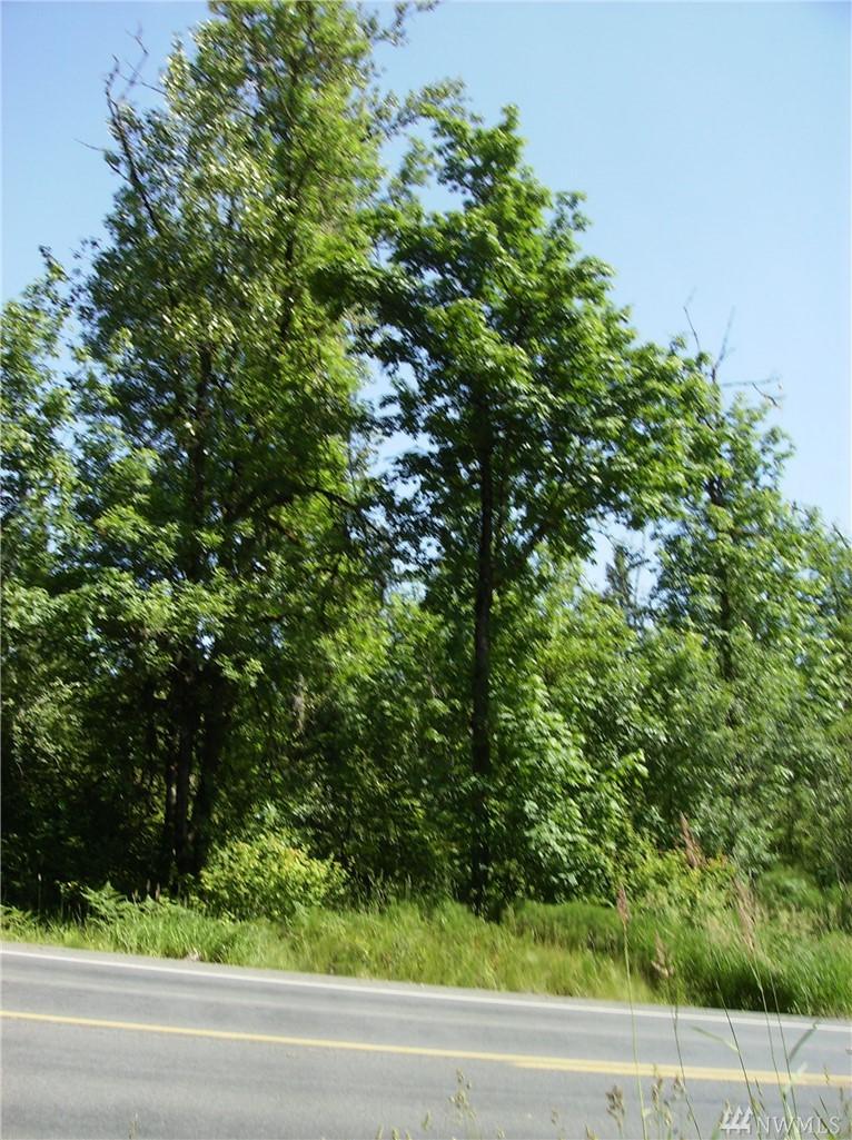 0 South Toutle Rd - Photo 1