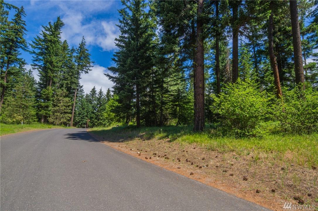 701 Snowberry Lp - Photo 1