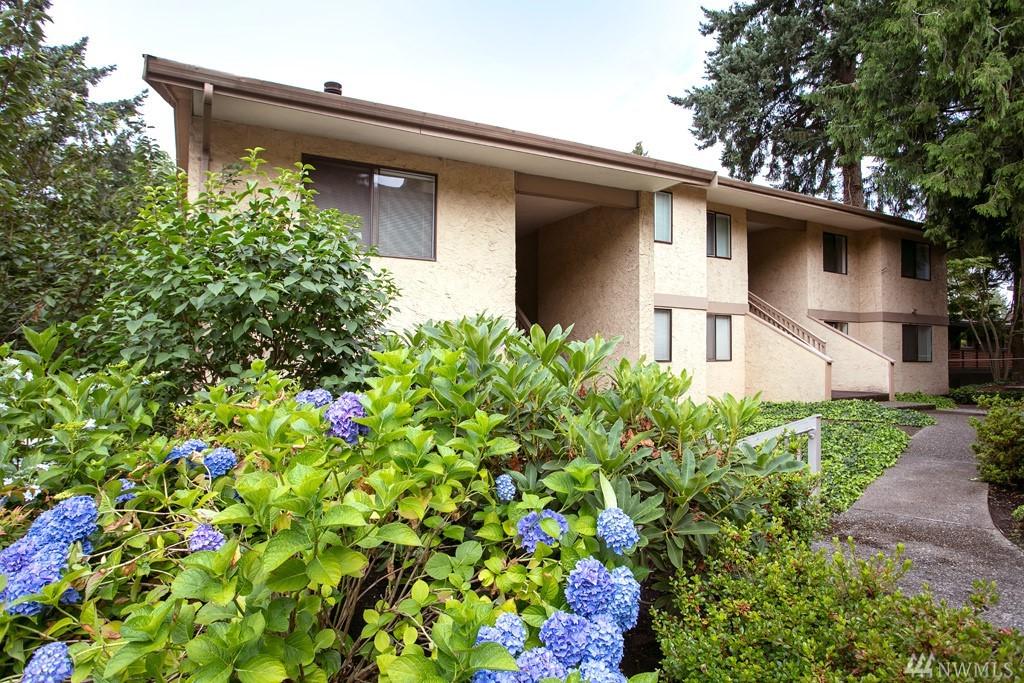 10320 6th St - Photo 1