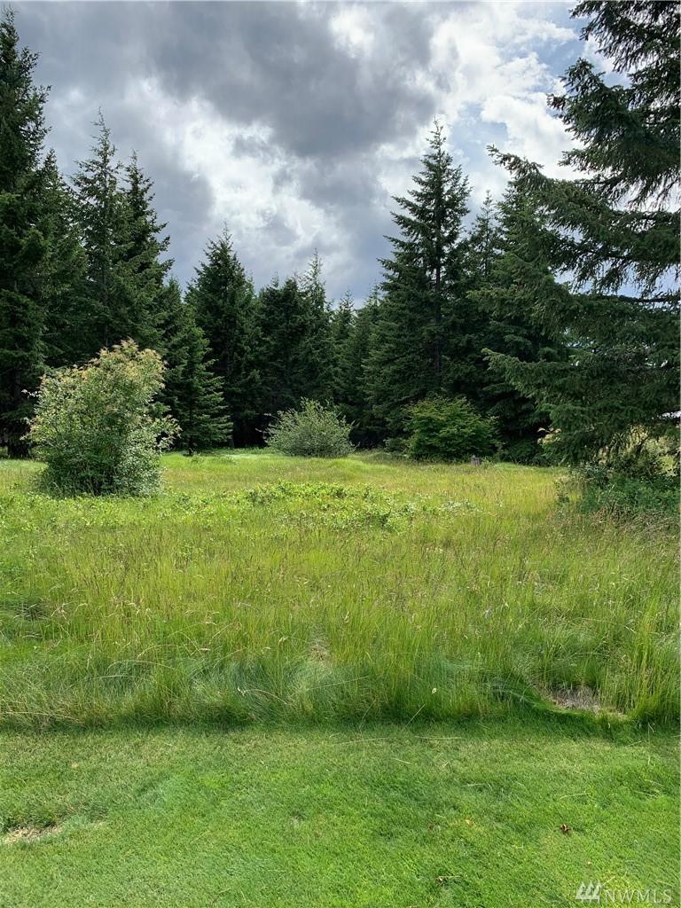 211 Hard Scrabble Lane - Photo 1