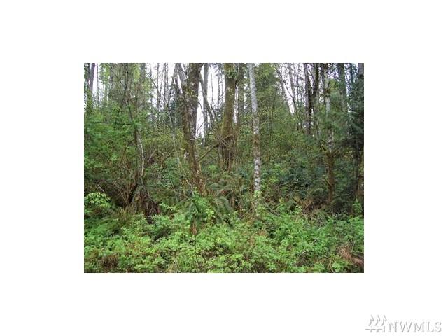 0 Chimacum Dr - Photo 1