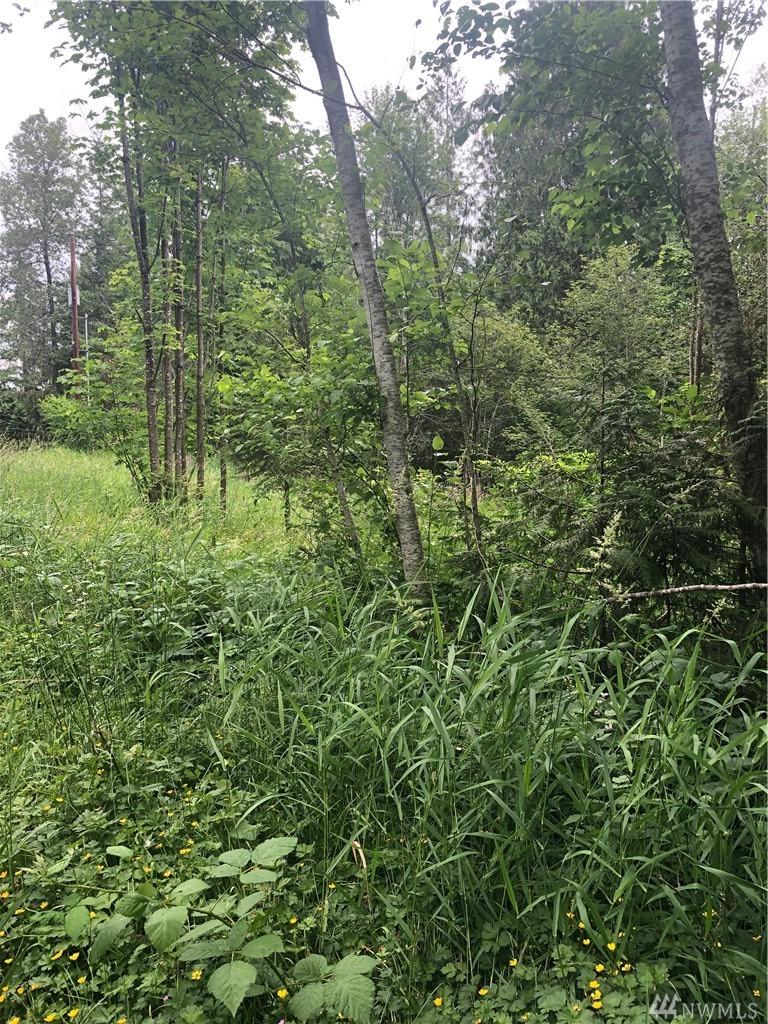 31 Kamilche Dr - Photo 1