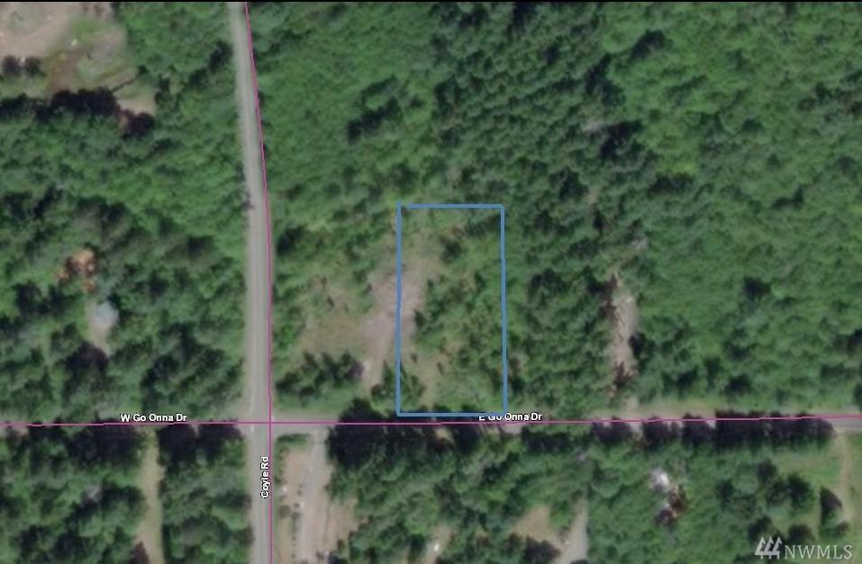 19 Go Onna Dr - Photo 1