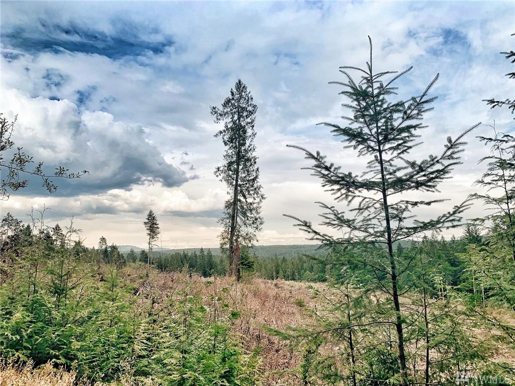 151 Capstan Rock Rd - Photo 1