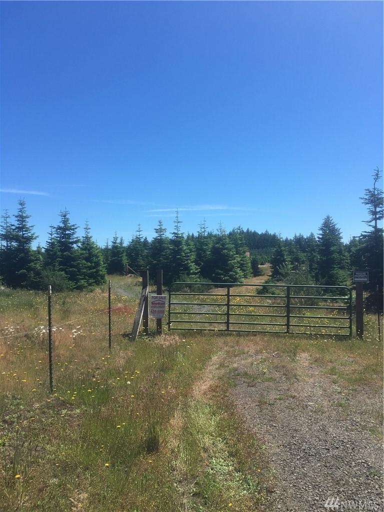 1000 Phillips Rd - Photo 1