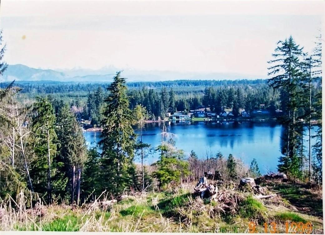 421 Satsop Dr - Photo 1