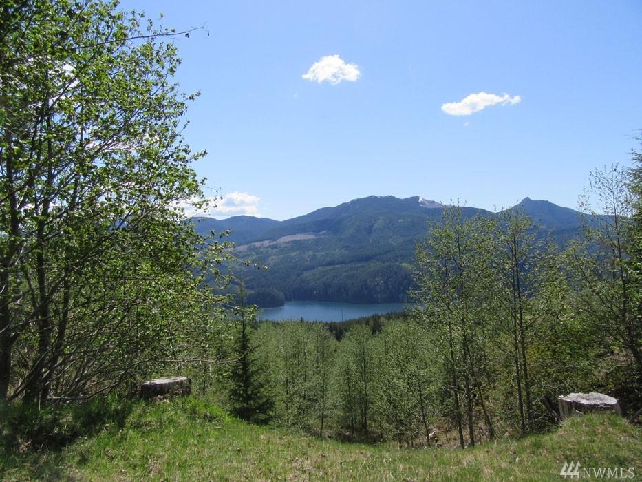 4 Tract 4 Marble Mtn Rd - Photo 1