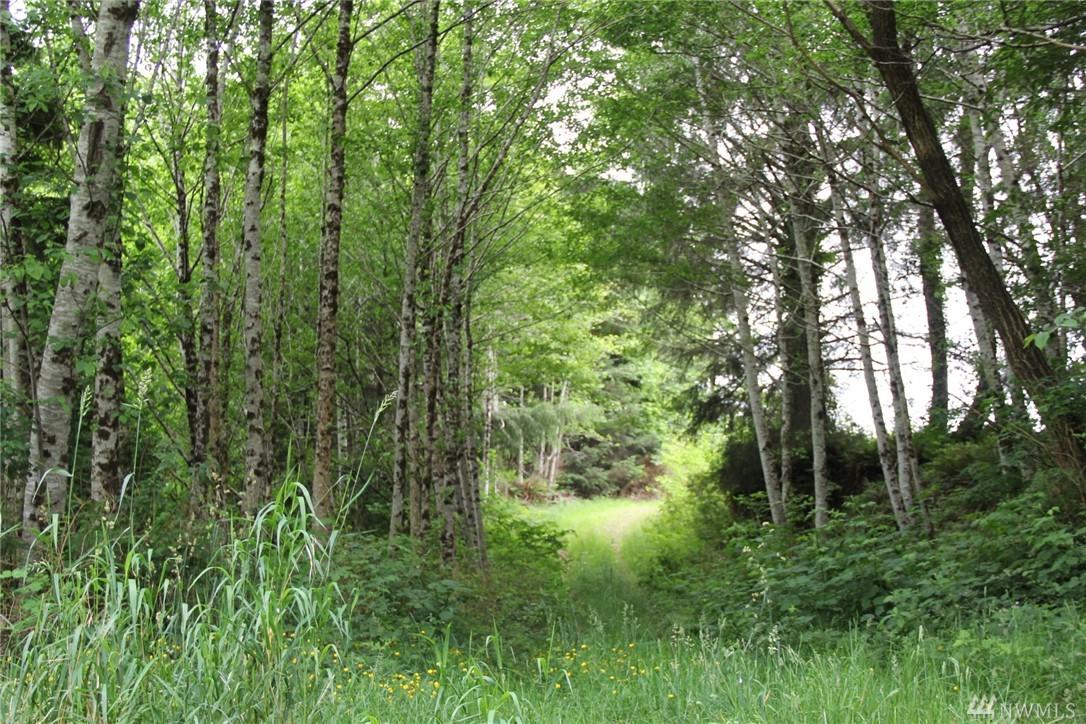 0-xxx Johns River Rd - Photo 1