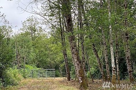 0 Grandview Rd - Photo 1