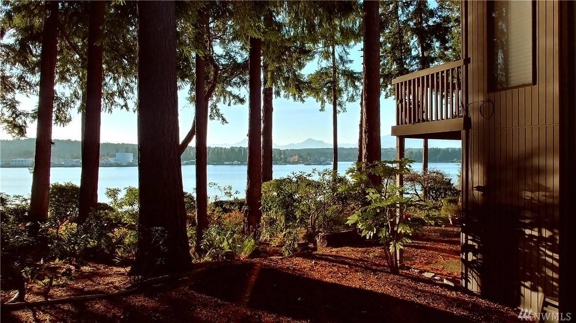 15800 Nesika Bay Rd - Photo 1