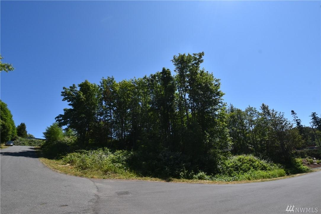 1111 Oertel Dr - Photo 1