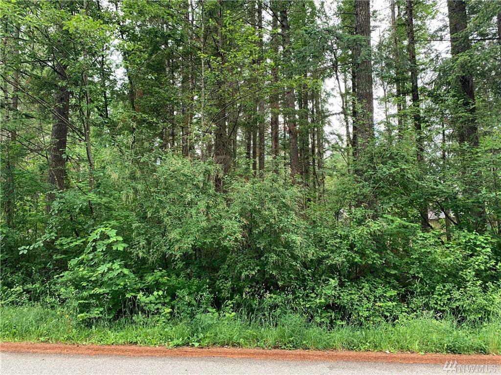 6251 Bellwood Dr - Photo 1