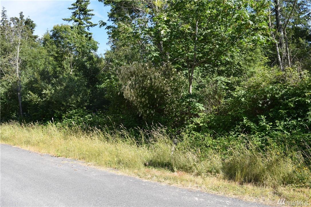 0 Woodland Dr - Photo 1