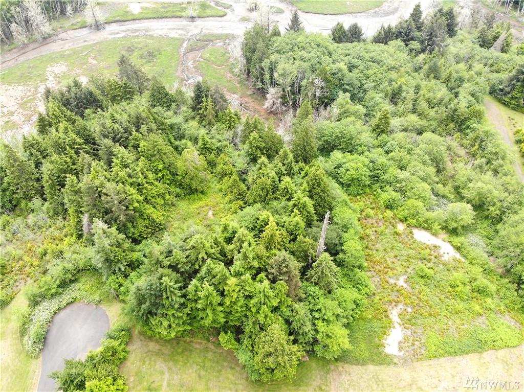 0 Spruce Lane - Photo 1