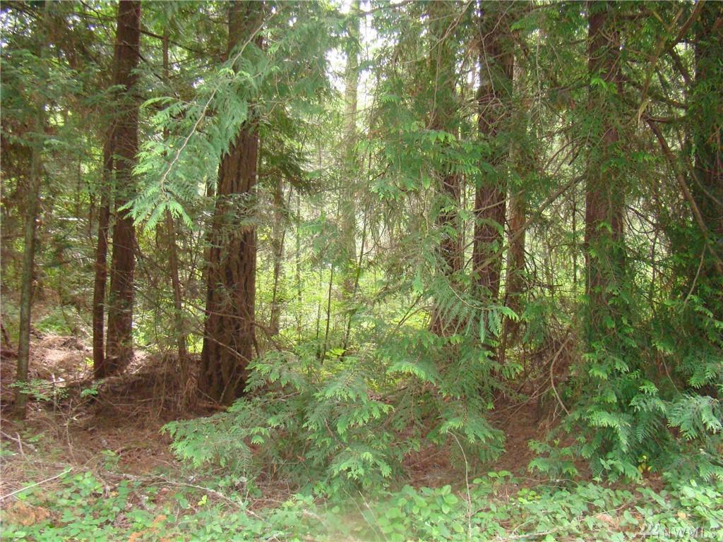 0 Sunrise Blvd - Photo 1