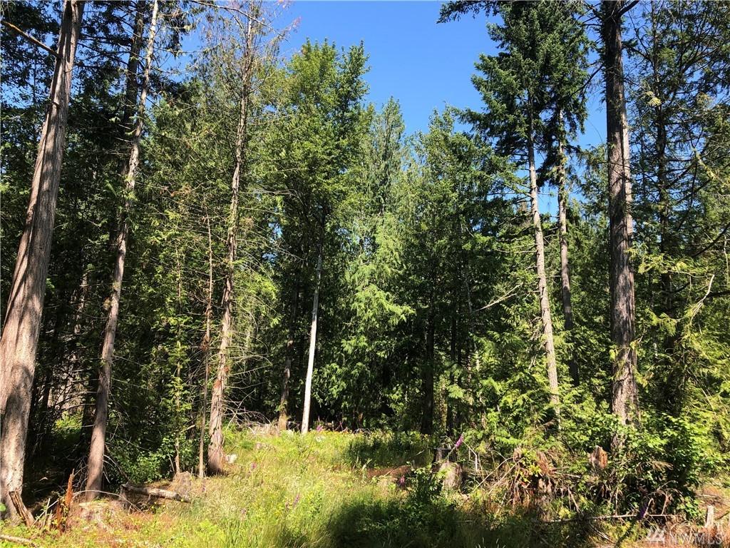21900 70th Rd - Photo 1