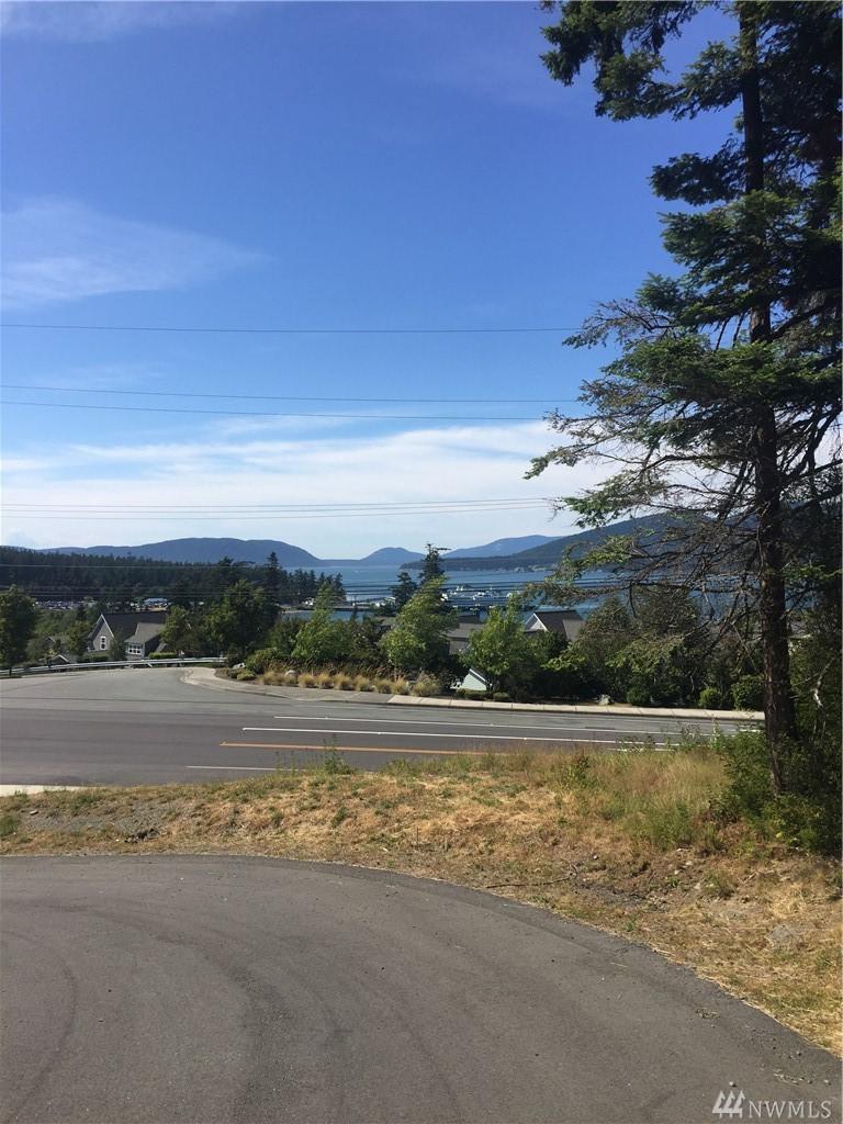 1505 Harbor View Ct - Photo 1