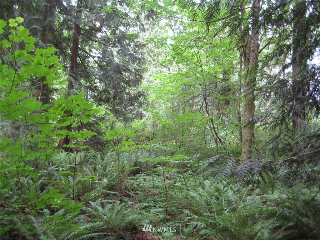 0 183Xx E Spring Lake Drive - Photo 1