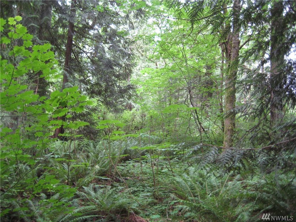 0 183Xx E Spring Lake Dr - Photo 1