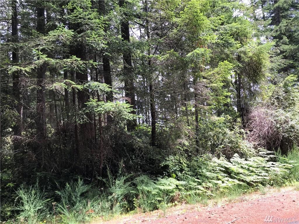 9505 110th Av Ct - Photo 1