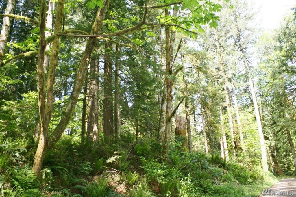 2670-x Lot 25 Whitman Rd - Photo 1
