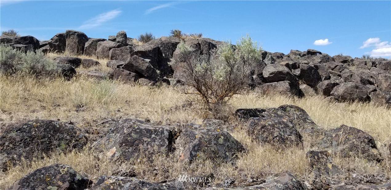 0 Lot 222 Eagle Springs Ranch - Photo 1
