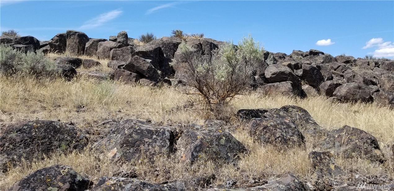 0 Lot 222 Eagle Springs Ranch - Photo 1