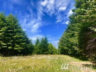 0-xxx Crescent Beach Rd - Photo 1