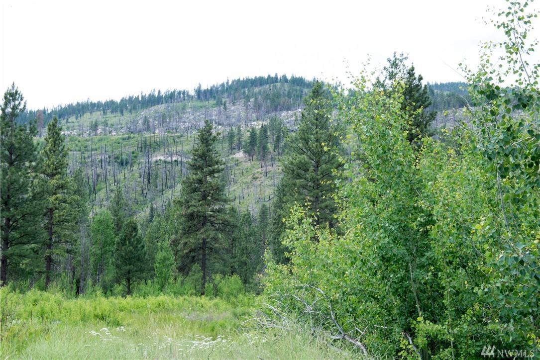 0 Tbd Loup Loup Canyon Rd - Photo 1