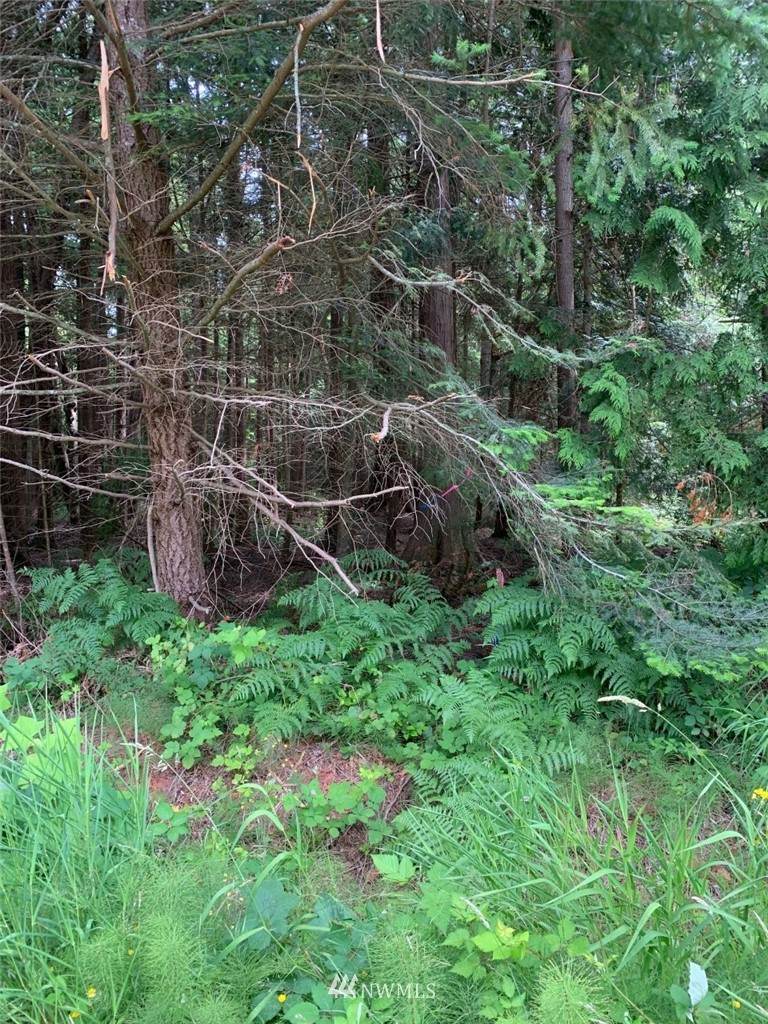 36 Shady Glen - Photo 1