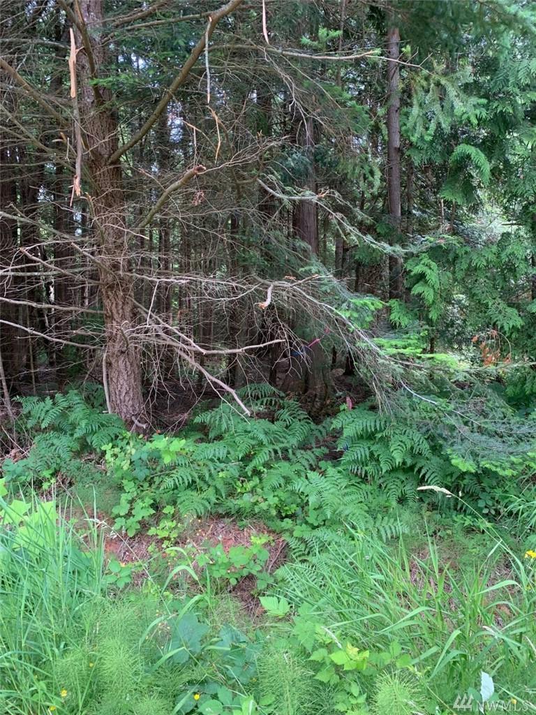 36 Shady Glen - Photo 1