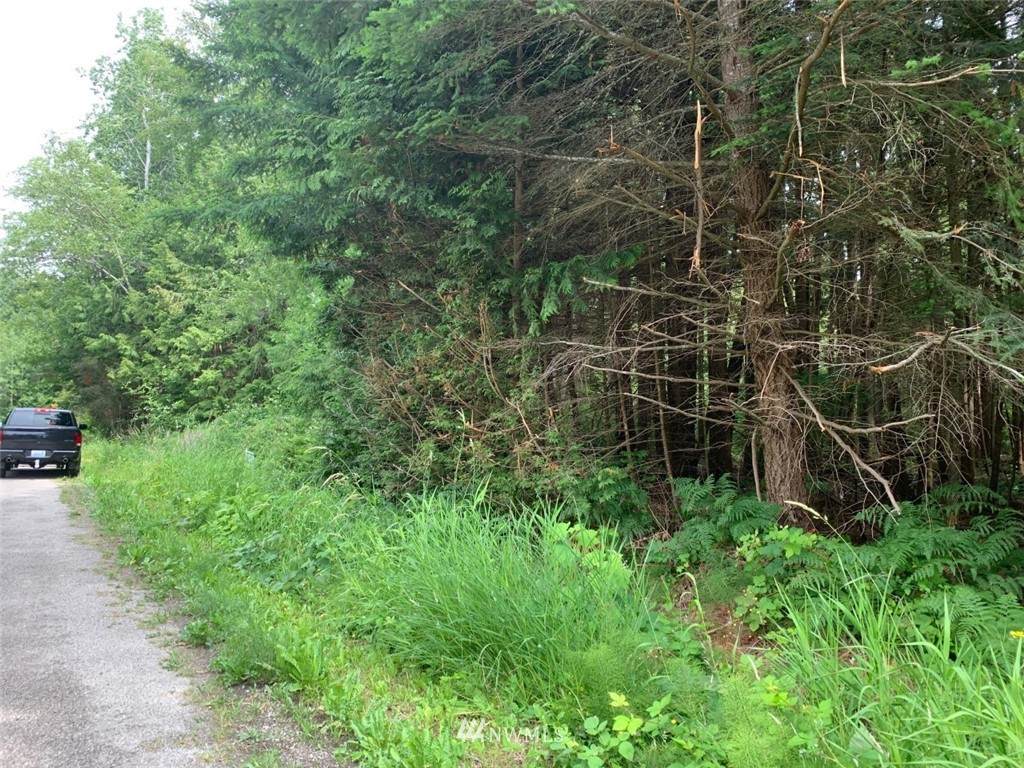 37 Shady Glen - Photo 1