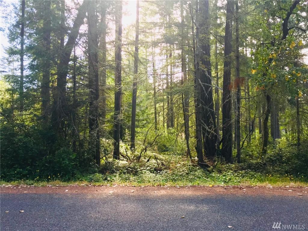 10818 Tahoma Dr - Photo 1