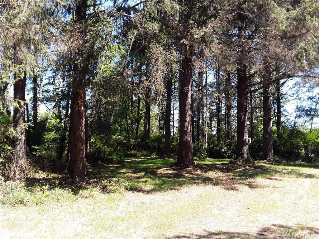 612 Willapa Ct - Photo 1