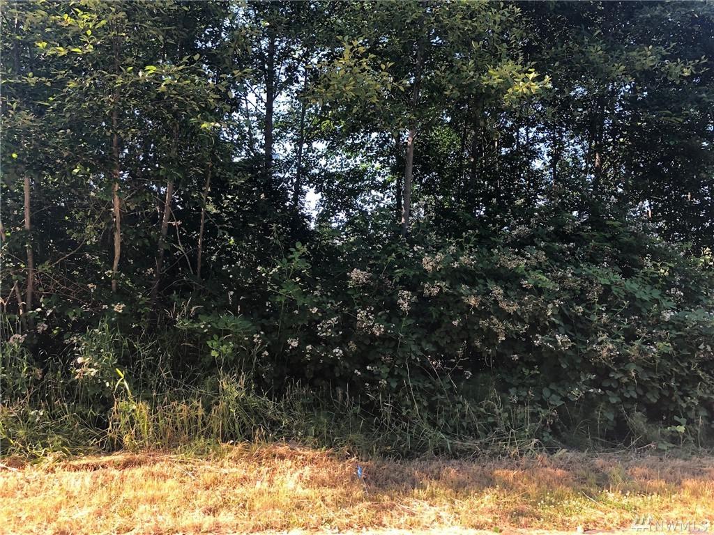 0-Lot 23 Twin Oaks Lane - Photo 1