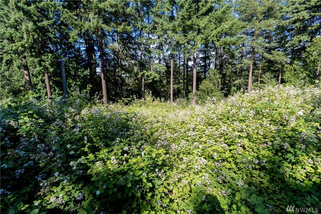 51 Lylus Lane - Photo 1