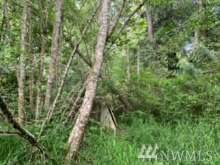 46382 Jackson Rd - Photo 1