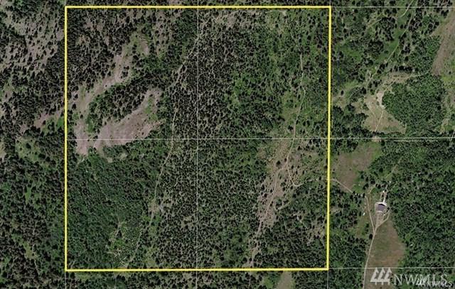 11111 Aeneas Mtn Rd - Photo 1