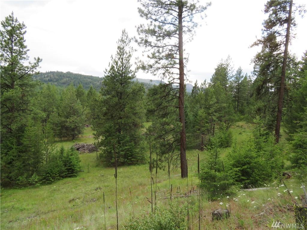 0-TBD Cheney Rd - Photo 1