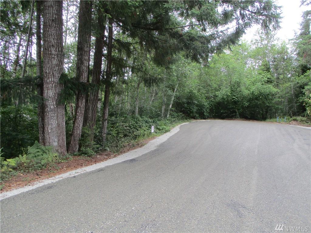 101 Olympic View Dr - Photo 1